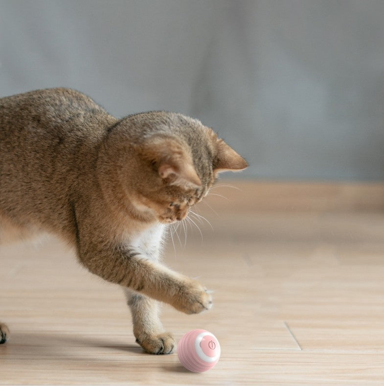 Smart leksaksboll för katter – rör sig själv, studsar & rullar