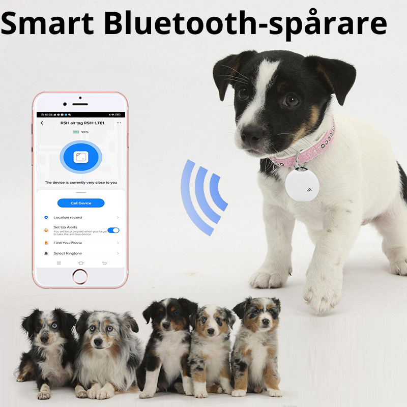 Smart Bluetooth-spårare för husdjur